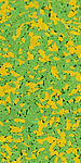 35% jaune clair/65% vert clair