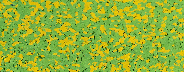 35% jaune clair/65% vert clair